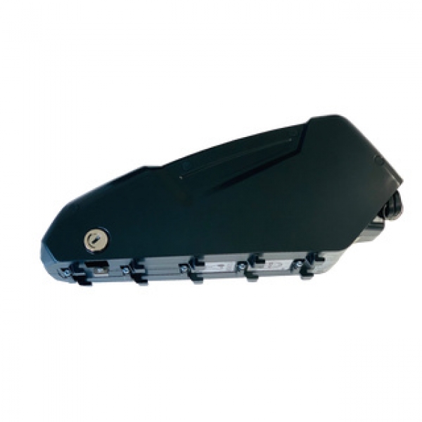 Antrieb/Motor: Alber Xion Mittelmotor